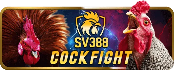 Các chương trình khuyến mãi hấp dẫn tại TV88
